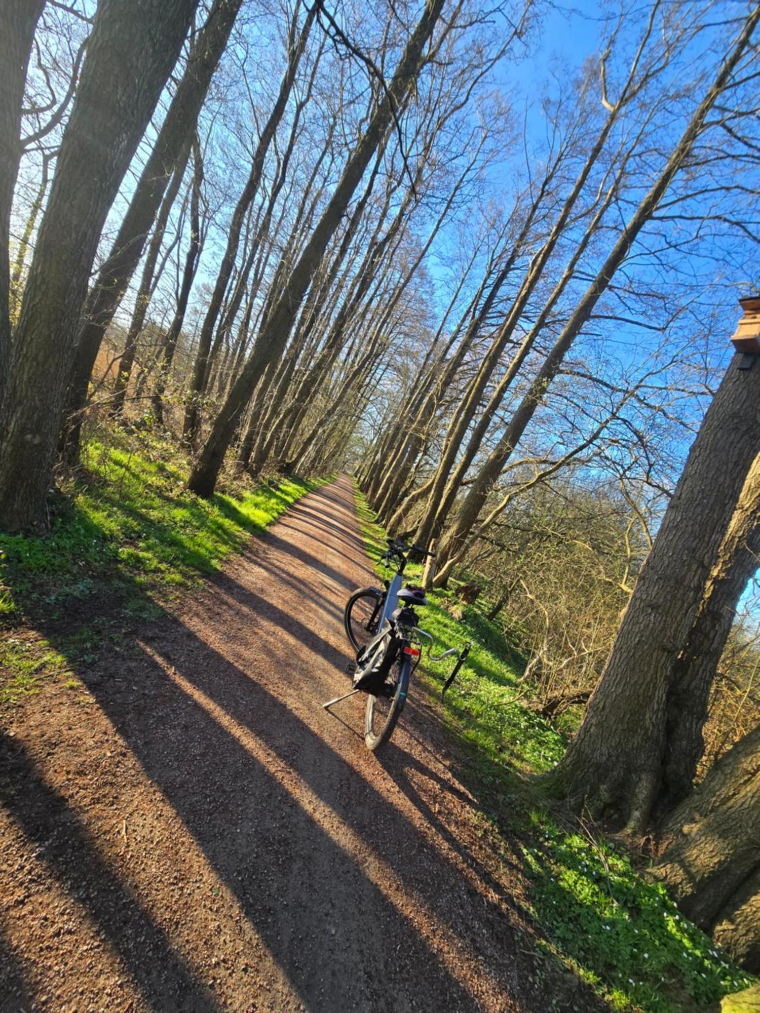 Fewo "Luett Stuv" Fockbek Exteriör bild